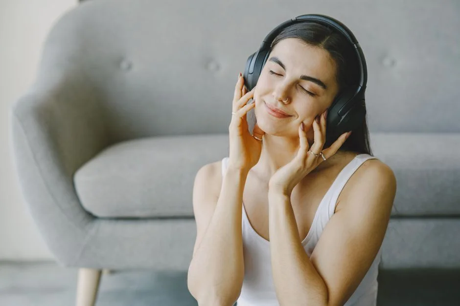 headphones product image
